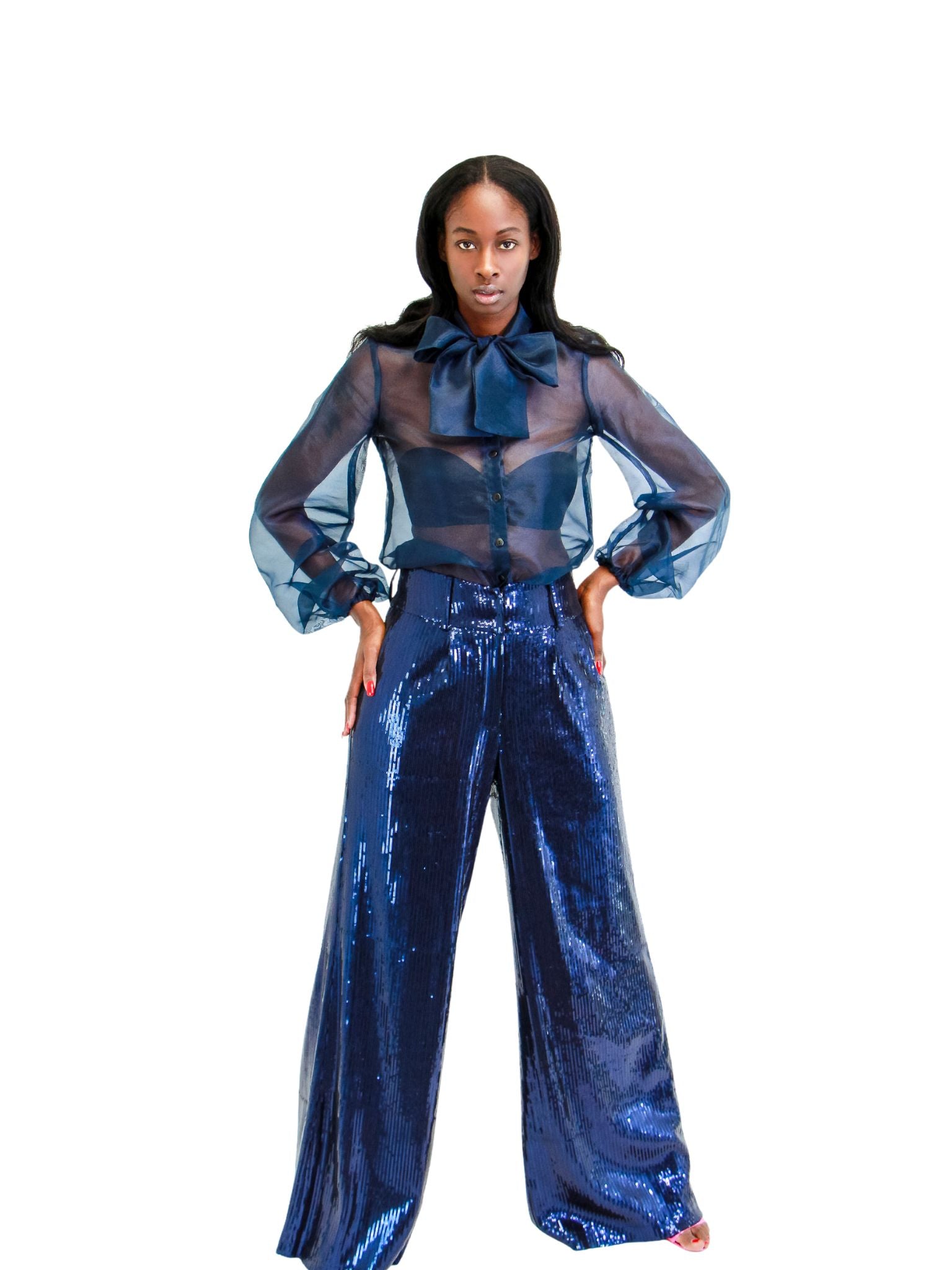 New! Thompson Sequin Trousers: Indigo